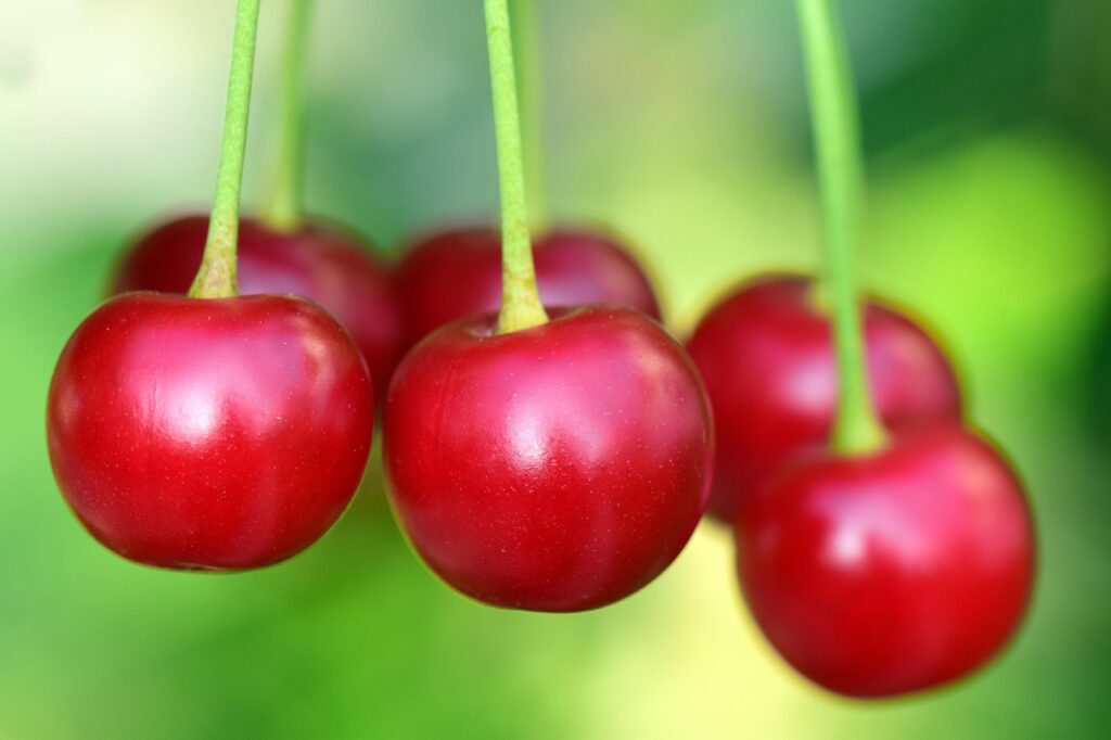 Cherries Benefits: Nutrition Facts, Uses, and Health Advantages