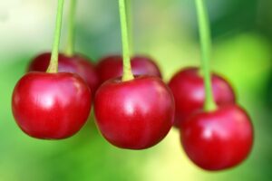 Cherries Benefits: Nutrition Facts, Uses, and Health Advantages