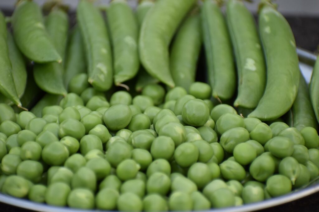 Peas Benefits: Nutrition Facts, Uses, and Health Advantages