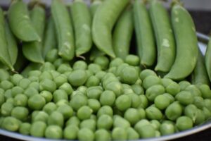 Peas Benefits: Nutrition Facts, Uses, and Health Advantages