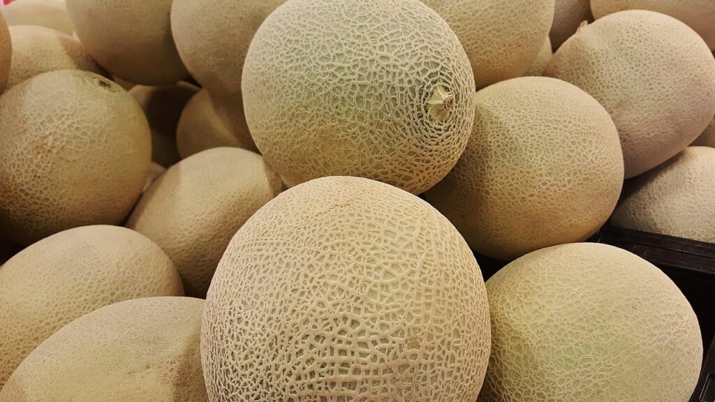 Cantaloupe Benefits: Nutrition Facts, Uses, and Health Advantages