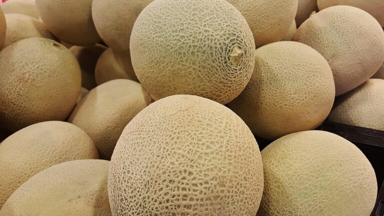 Cantaloupe Benefits: Nutrition Facts, Uses, and Health Advantages