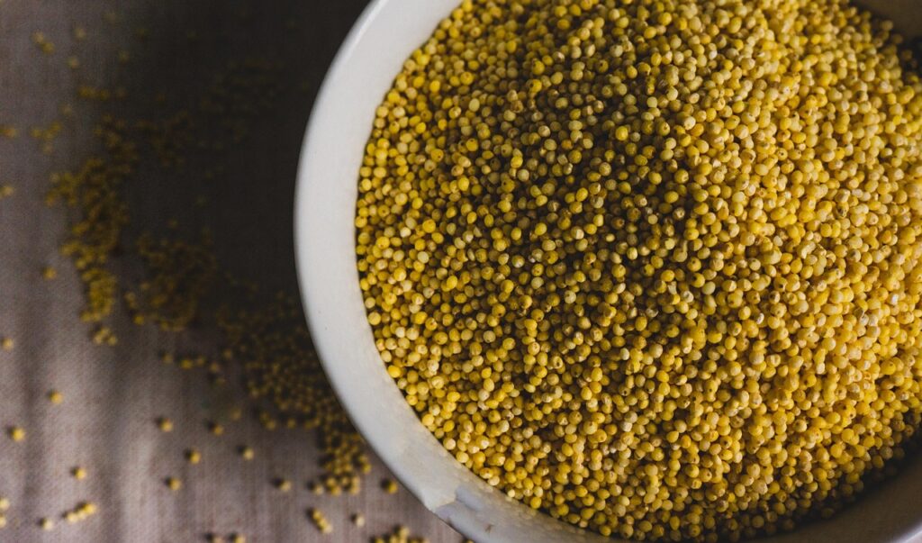 Millet Benefits: Nutrition Facts, Uses, and Health Advantages