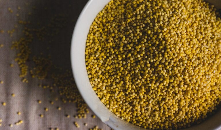 Millet Benefits: Nutrition Facts, Uses, and Health Advantages