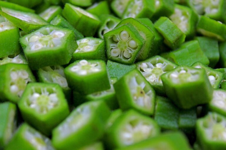 Okra Benefits: Nutrition Facts, Uses, and Health Advantages