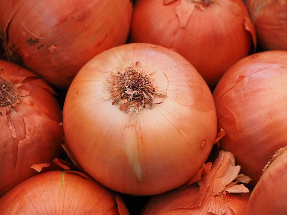 Onion Benefits: Nutrition Facts, Uses, and Health Advantages
