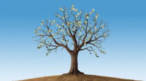 Geld wächst nicht auf den Bäumen